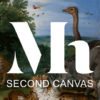 Secondcanvas Mauritshuis App